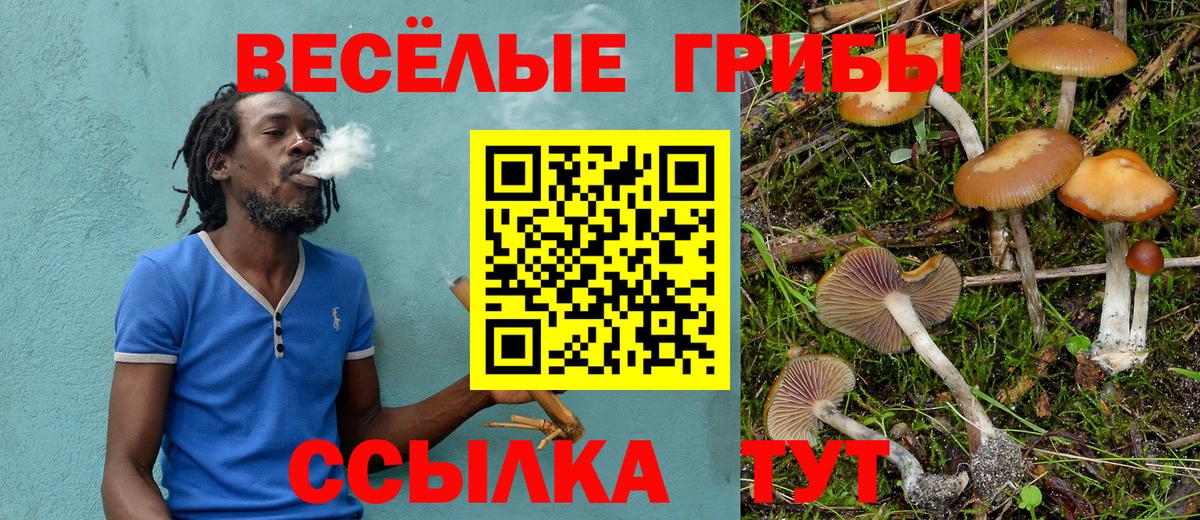 Рузаевка  Псилоцибиновые грибы Psilocybe  Вход с VPN  Псилоцибиновые грибы GOLDEN TEACHER 